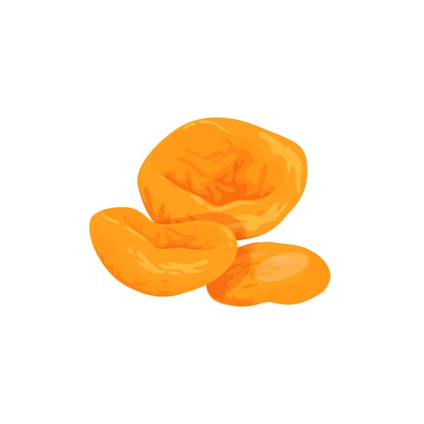 Dried apricots vector icon. — Stock Vector