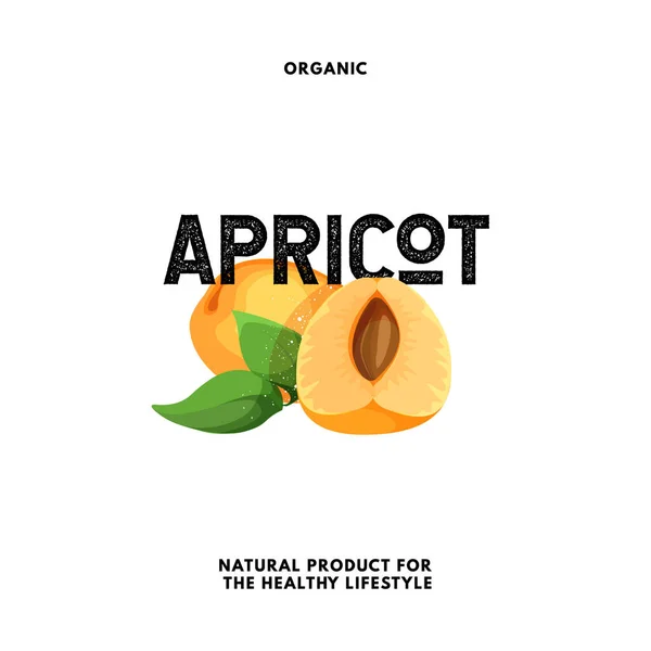 Apricots fruit isolated icon. Vector apricot logo design concept. Label lettering. — Stockvector