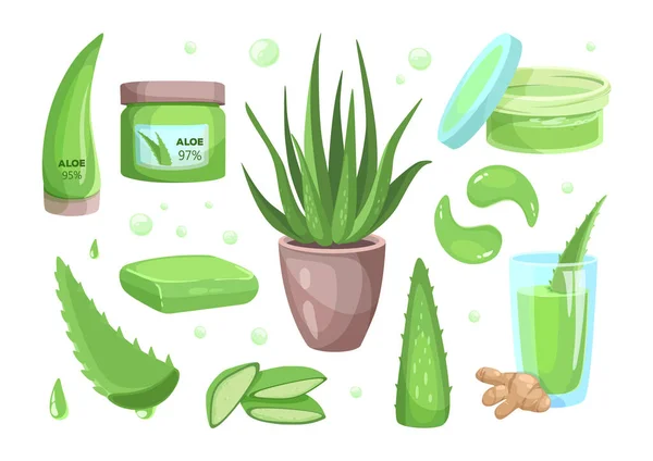 Aloe vera cartoon style icons. Succulent, tropical plant vector illustrations, organic drink, cosmetic. — Stock vektor