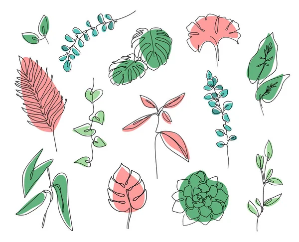 Ramos e folhas de vetor. Folhas de linha contínua imprimir palma tropical, eucalipto, monstera, suculento, plantas da casa . —  Vetores de Stock