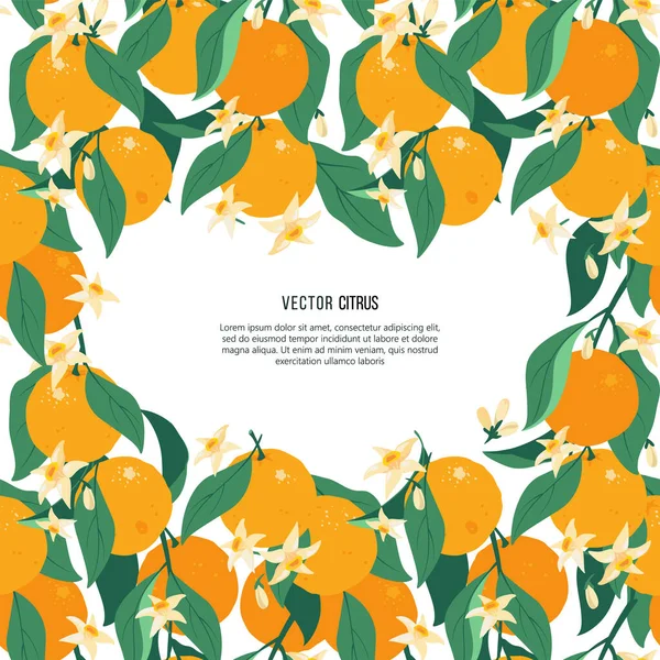 Wenskaart met tropisch fruit. Citrus Bloemen vector frame met oranje vruchten, bladeren en bloemen patroon. — Stockvector