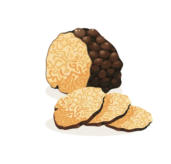 Truffle向量隔离图标。黑松露蘑菇卡通画 — 图库矢量图片