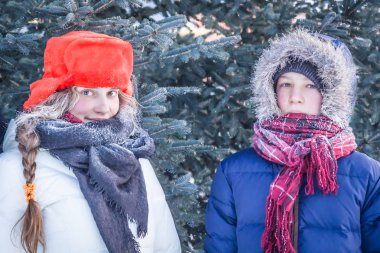 Portre sıcak giysiler içinde soğuk kış günü Noel tatili sırasında içinde mavi çam ağaçları arasında ormandaki gençler 