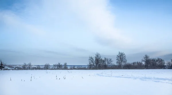 Paysage hivernal panoramique avec champ de neige à la campagne et arbres à l'horizon — Photo