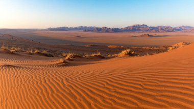 Namib Rand doğa rezerv, Namibya