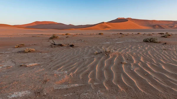 Písečné duny v sossusvlei, Namibie — Stock fotografie