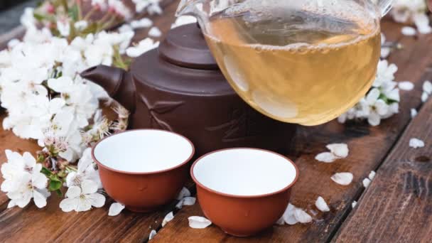 Čínský čaj obřad složení na dřevěném pozadí s třešňovými listy — Stock video