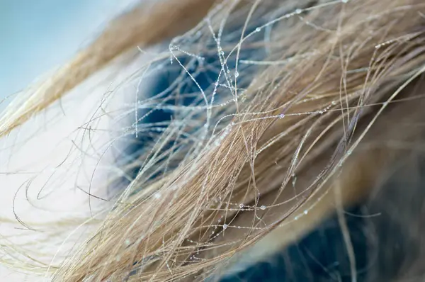 Acqua e gocce di ghiaccio sui capelli — Foto Stock