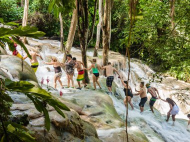 Ocho Rios, Jamaica - November 15, 2016: The Dunn's River Falls are waterfalls in Ocho Rios in Jamaica, which can be climbed by tourists. clipart