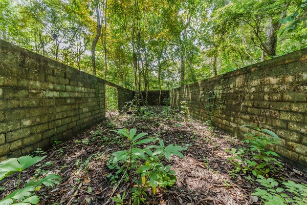 Ruina en Parque Nacional Metropolitano en Ciudad de Panamá. Lugares perdidos . — Foto de Stock