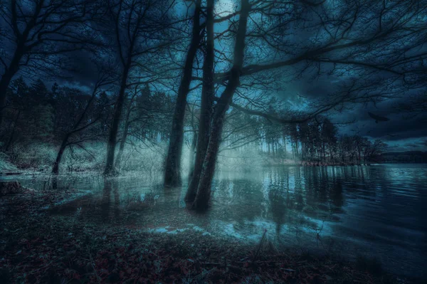 Brucher Damm in Marienheide bei Nacht. Fantasievolles Komponieren. — Stockfoto