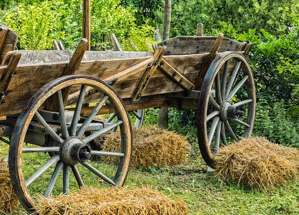 Gammal Häst Trailer — Stockfoto