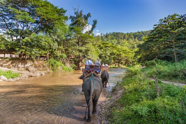 2015年11月21日 游客在清迈骑大象河 — 图库照片