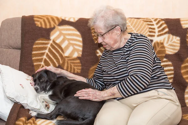 Бабуся Дивані Собакою — стокове фото