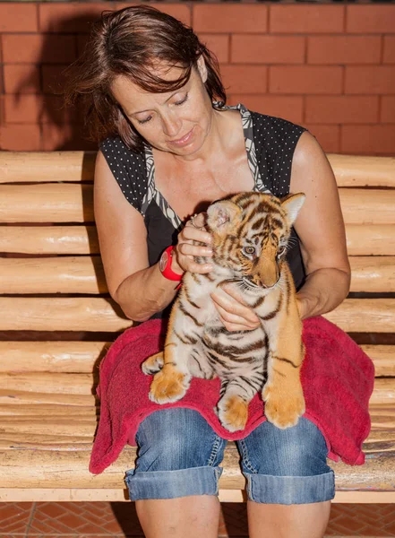 Pequeno Bebê Tigre Colo Uma Mulher — Fotografia de Stock