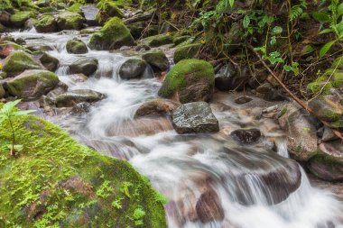 Chorro el Macho, El Valle de Anton, Panama 'da bir şelale.