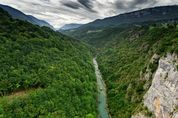 Canyon do rio Tara no verão, paisagem da natureza. Montenegro — Fotografia de Stock