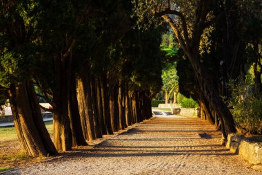 Gün batımı, güzel doğa manzara ağaçlar sokak