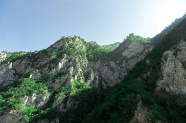 Güzel doğa manzara, kayalar dağlar yeşil orman ile