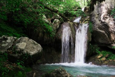 Yeşil orman, güzel doğa manzara net şelale