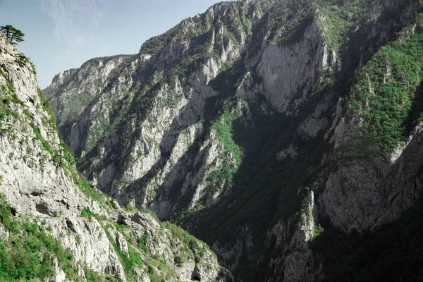 Hermoso paisaje natural, rocas montañas con bosque verde — Foto de Stock