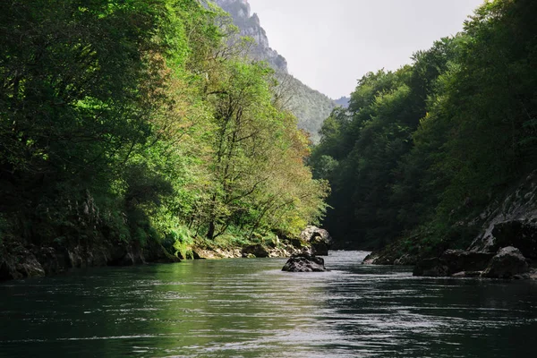 Rio azul claro perto de floresta verde, paisagem natural — Fotografia de Stock