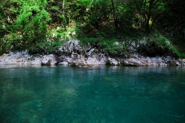 Rio azul claro perto de floresta verde, paisagem natural — Fotografia de Stock