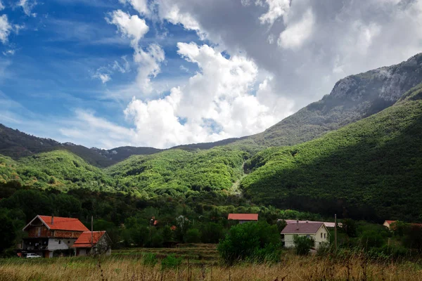 Σπίτια στο χωριό Njegusi κοντά στο ορεινό δάσος, Μαυροβούνιο — Φωτογραφία Αρχείου