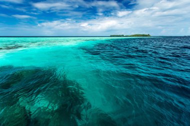 Tropikal Adası'nda gündüz güzel doğa manzara
