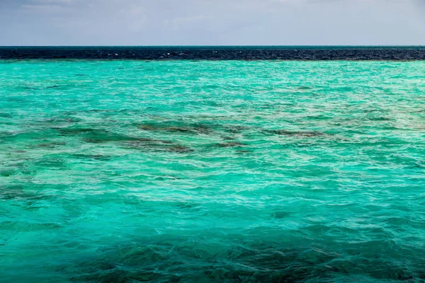 Acqua azzurra trasparente con barriera corallina, paesaggio naturale — Foto Stock