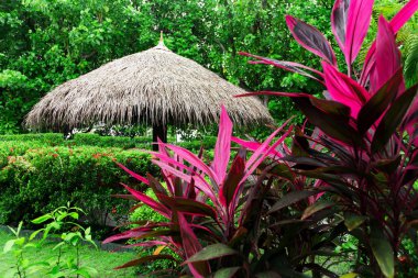 Hasır çatılı büyük şemsiye 