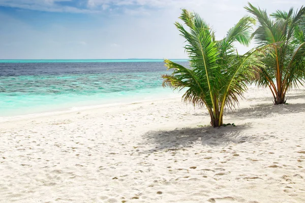 Písečná pláž na tropickém ostrově resort — Stock fotografie