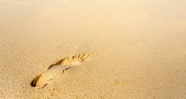 Un'impronta sulla spiaggia tropicale — Foto Stock