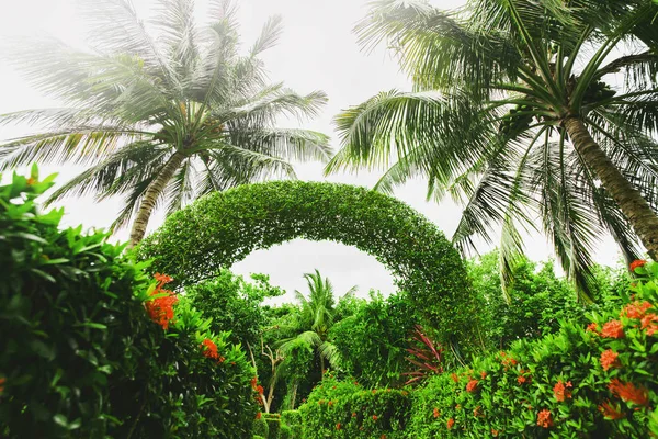 Τροπικό καταπράσινο κήπο στις Μαλδίβες — Φωτογραφία Αρχείου