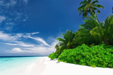 Tropikal Adası'nda gündüz güzel doğa manzara