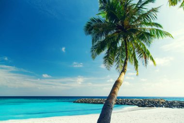 Tropikal Adası'nda gündüz güzel doğa manzara