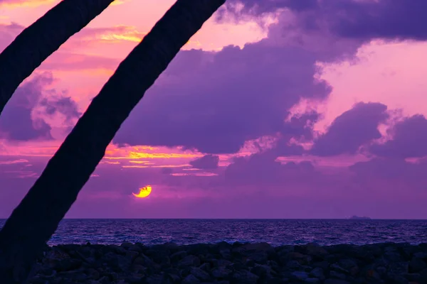 Силуэт пальмы на прекрасном тропическом восходе солнца — стоковое фото