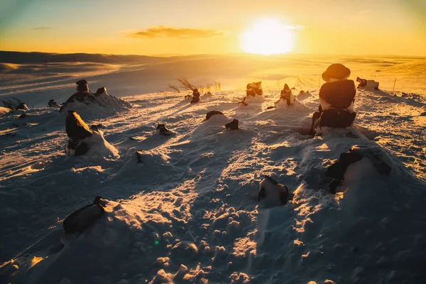 Atardecer dorado en la carretera de la tundra de invierno — Foto de Stock