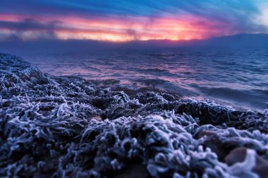 Kış coast, Barents Denizi. Kola Yarımadası, Rusya Federasyonu