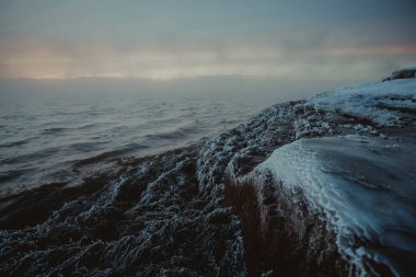 Kış coast, Barents Denizi. Kola Yarımadası, Rusya Federasyonu