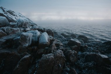Kış coast, Barents Denizi. Kola Yarımadası, Rusya Federasyonu