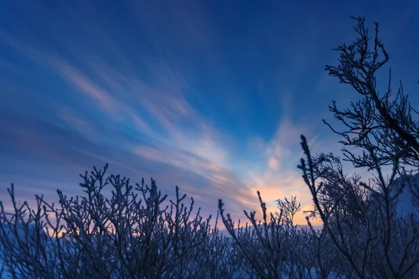 Abenddämmerung im Winter. kola halbinsel, russland — Stockfoto