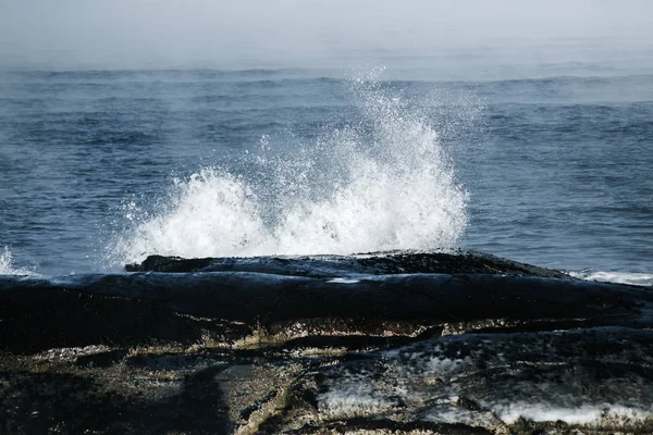 Баренцево море в Северном Ледовитом океане. Кольский полуостров, Россия — стоковое фото