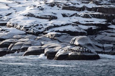 Barents Denizi Kuzey Buz Denizi içinde. Kola Yarımadası, Rusya Federasyonu