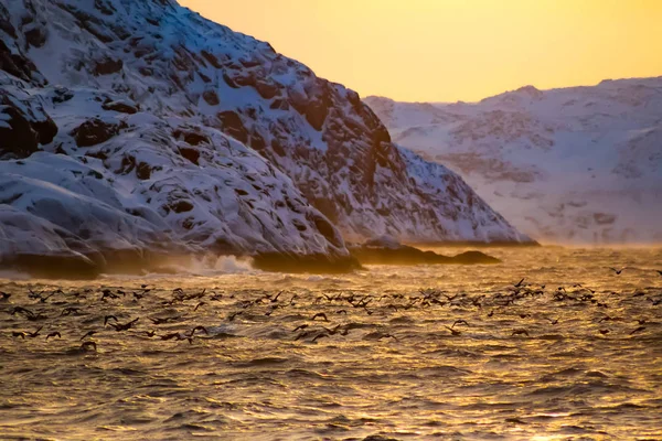 Morze Barentsa w Ocean Arktyczny o wschodzie słońca — Zdjęcie stockowe
