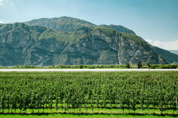 Bağ alanı yakınındaki dağ gündüz