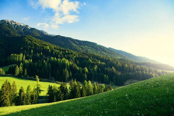 Όμορφα καταπράσινα βουνά τοπίο της φύσης το καλοκαίρι — Φωτογραφία Αρχείου