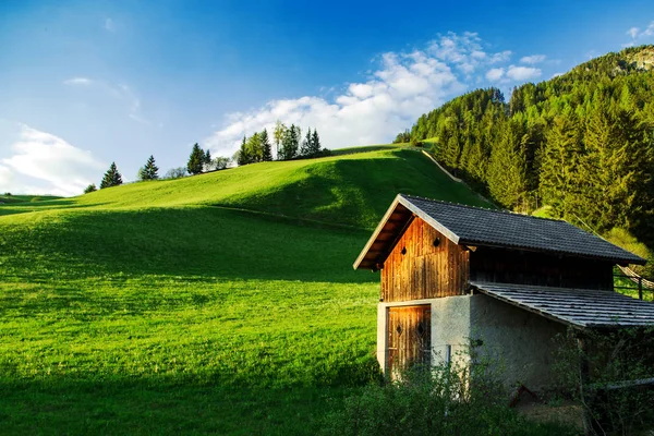 Güzel yeşil dağlar doğa manzara yaz