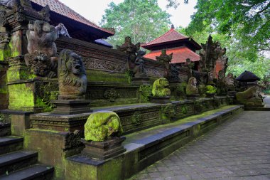 Kutsal maymun orman sığınak Ubud. Bali Adası, Endonezya