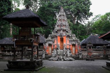 Kutsal maymun orman sığınak Ubud. Bali Adası, Endonezya